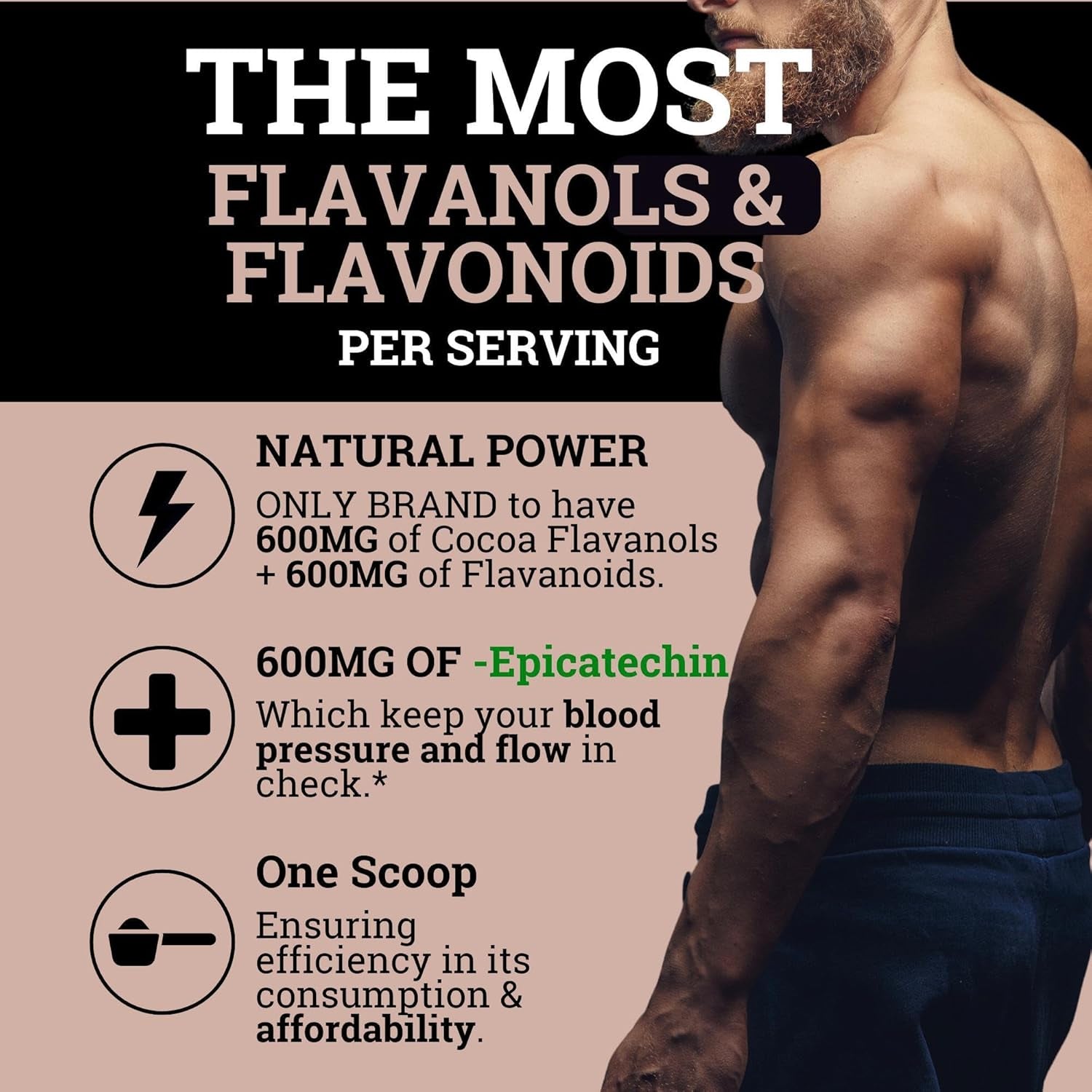 High Flavanol Cocoa Powder